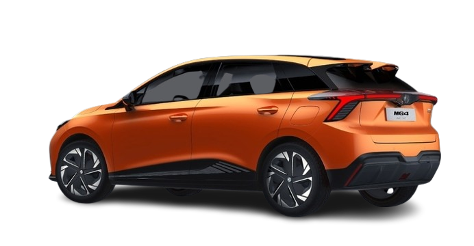 Service client premium AUTO ALVVO
 